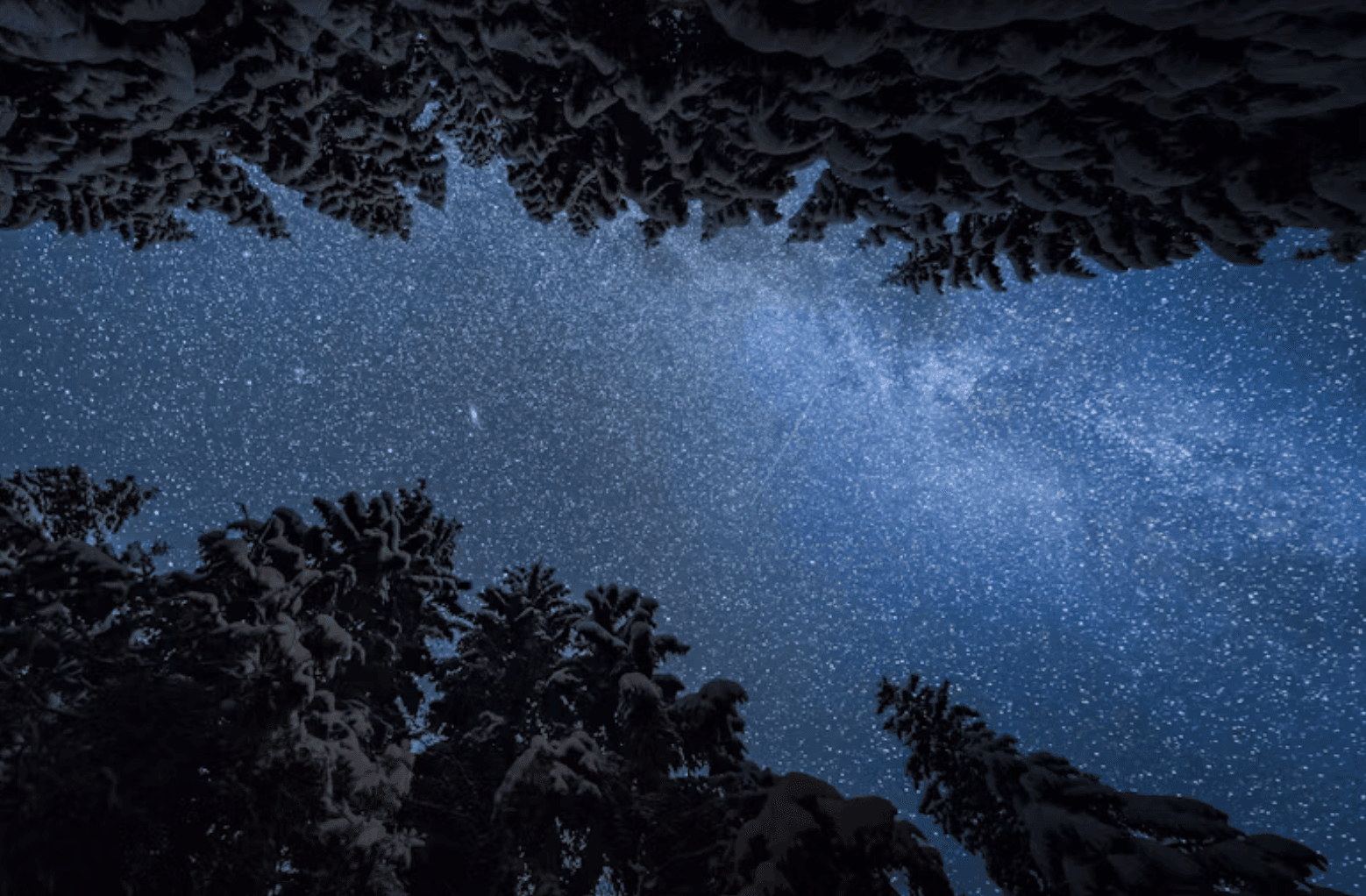 Starry night sky