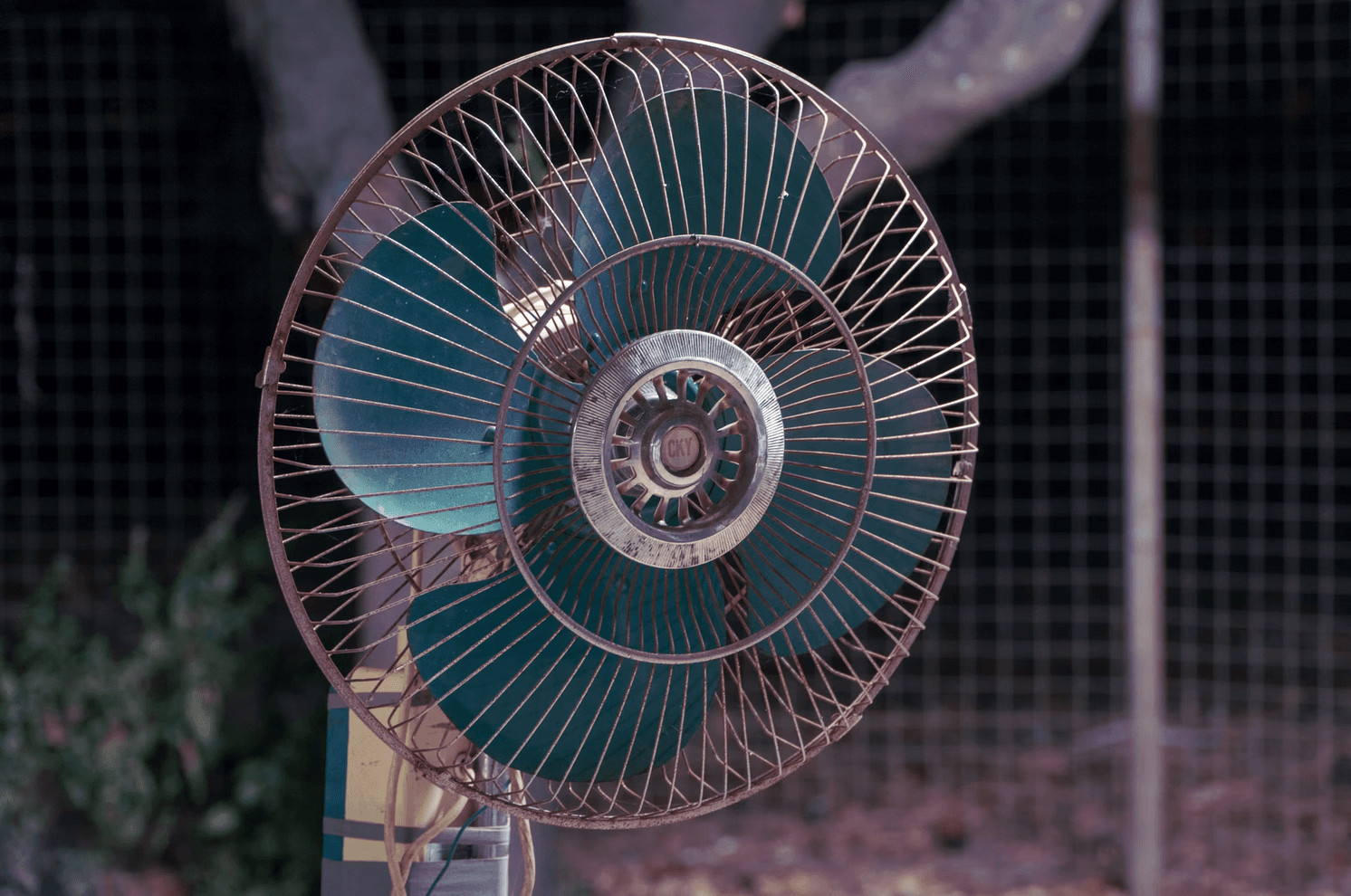 Picture of a fan