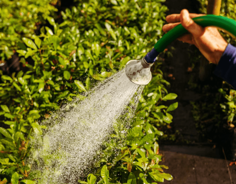 A hosepipe