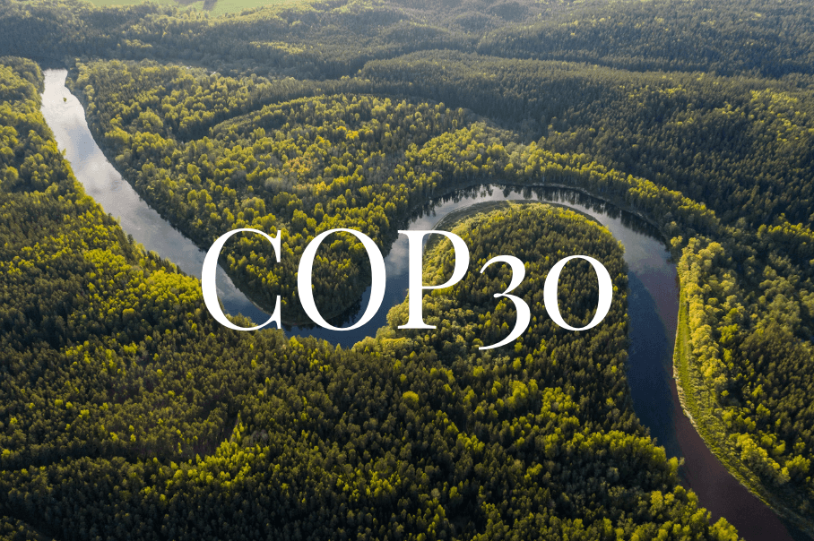 COP30 picture