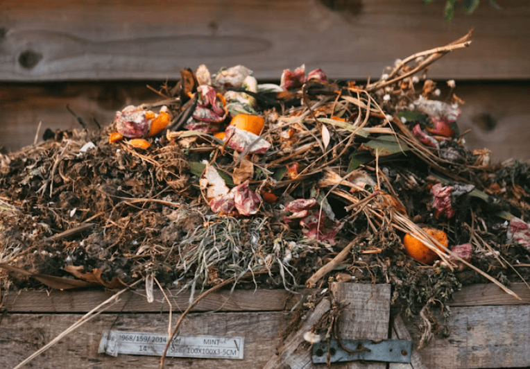 Image of a compost heap
