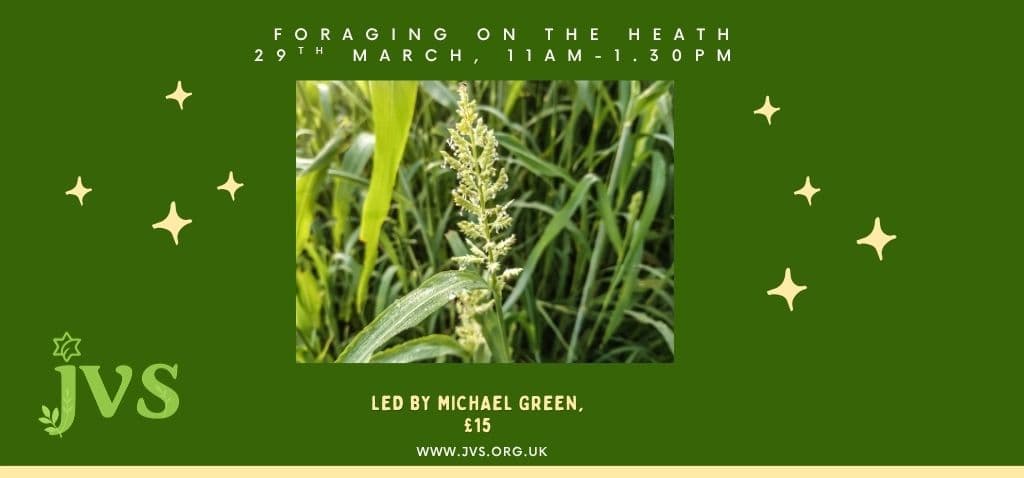 Pre-pesach foraging 29th March