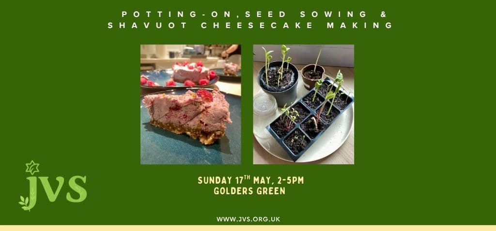 Potting-on, seed sowing + Shavuot cheesecake making