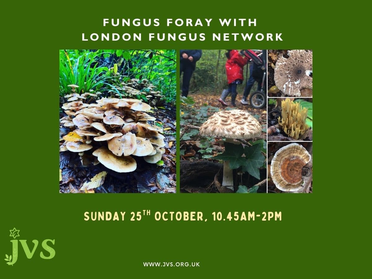 Fungus Foray