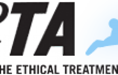 peta-header-logo-xmas-2013