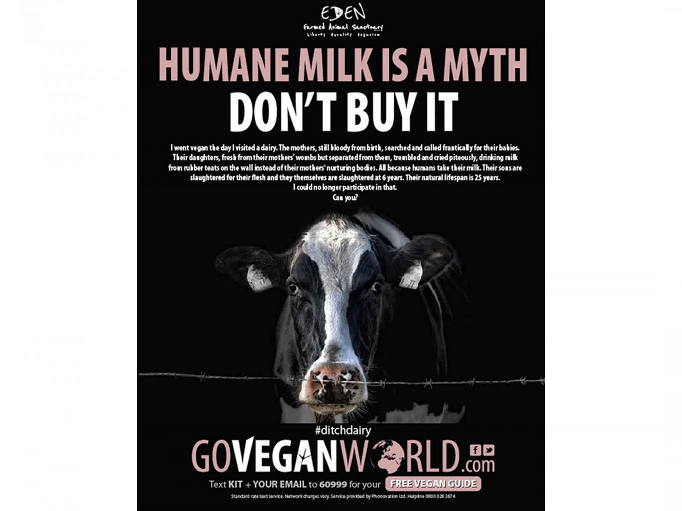 vegan-world-milk-ad