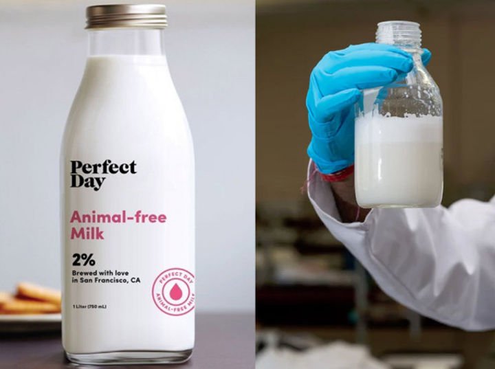 Perfect-Day-Synthetic-Animal-free-milk-1