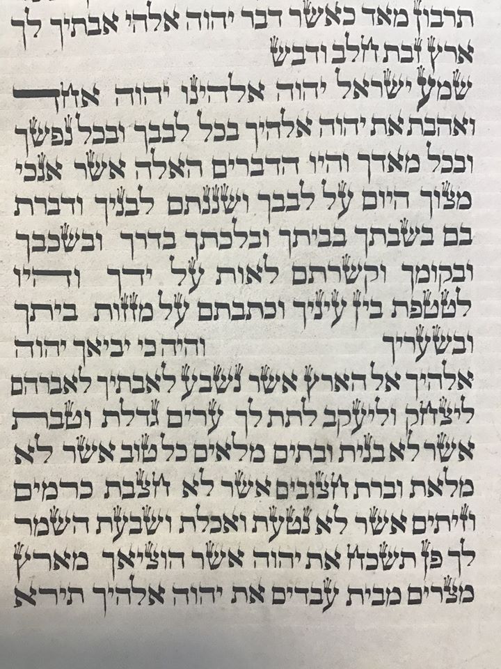 Shema in the Blue Sefer Torah (written by a Sefardi aider in an Ashkenazi style); credit: Soferet Avielah Barclay