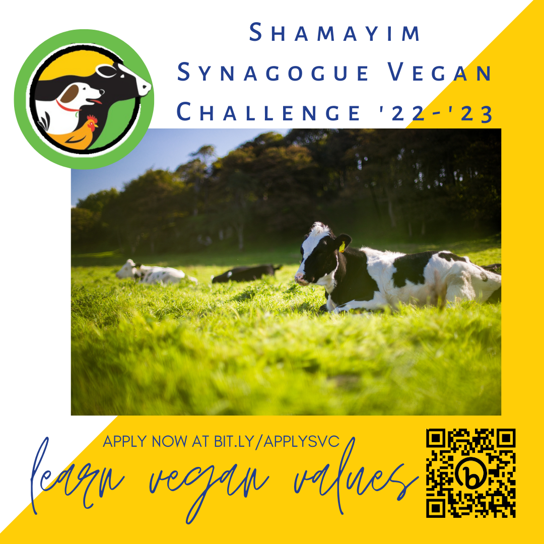 Twitter, SYNAGOGUE VEGAN CHALLENGE