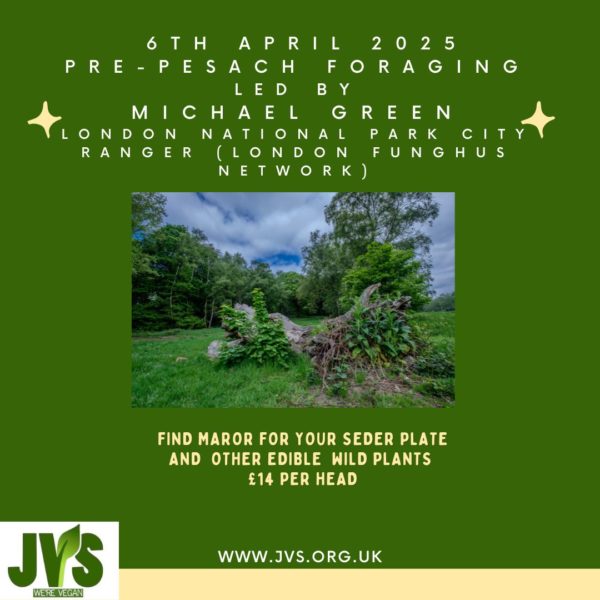 Pre-Pesach Foraging - 6th April
