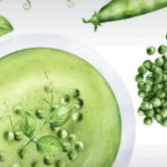 summer pea and mint soup